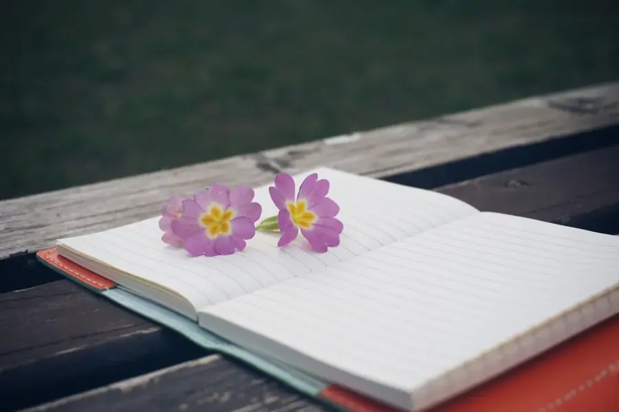 An open ruled notebook resting on a wooden ledge with two small purple flowers